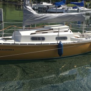 Shark24