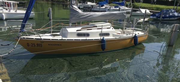Shark24